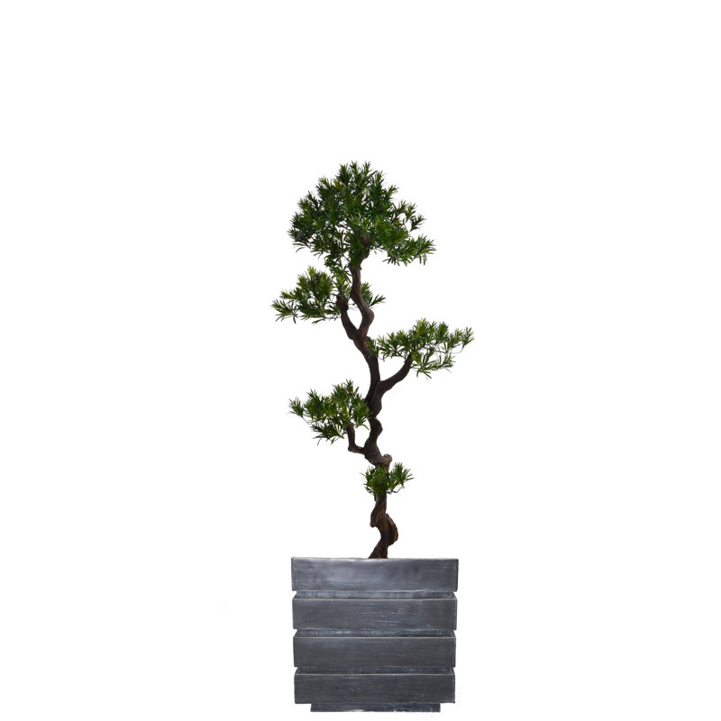 Bonsaï artificiel en pot 59 po Panama, Noir