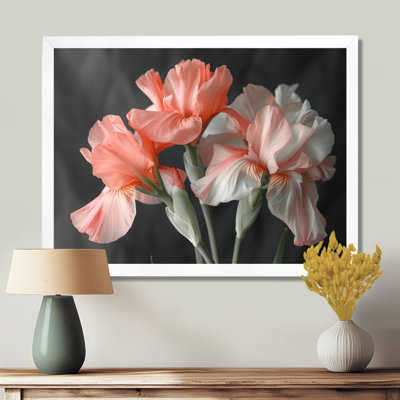Rose, noir, jardin, glamour, iris - iris, art mural