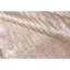 Area Rug in Ivory-106956506