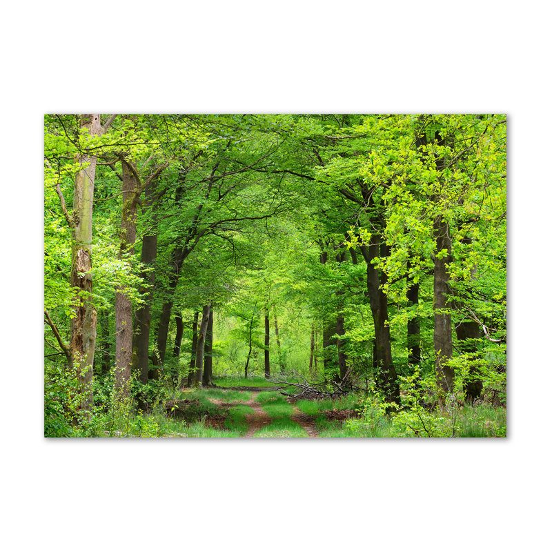 Spring Forest - Wrapped Canvas Print