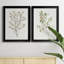 "Single Sprig III", ensemble de 2 impressions sur toile encadrées-1816422093-1816422067