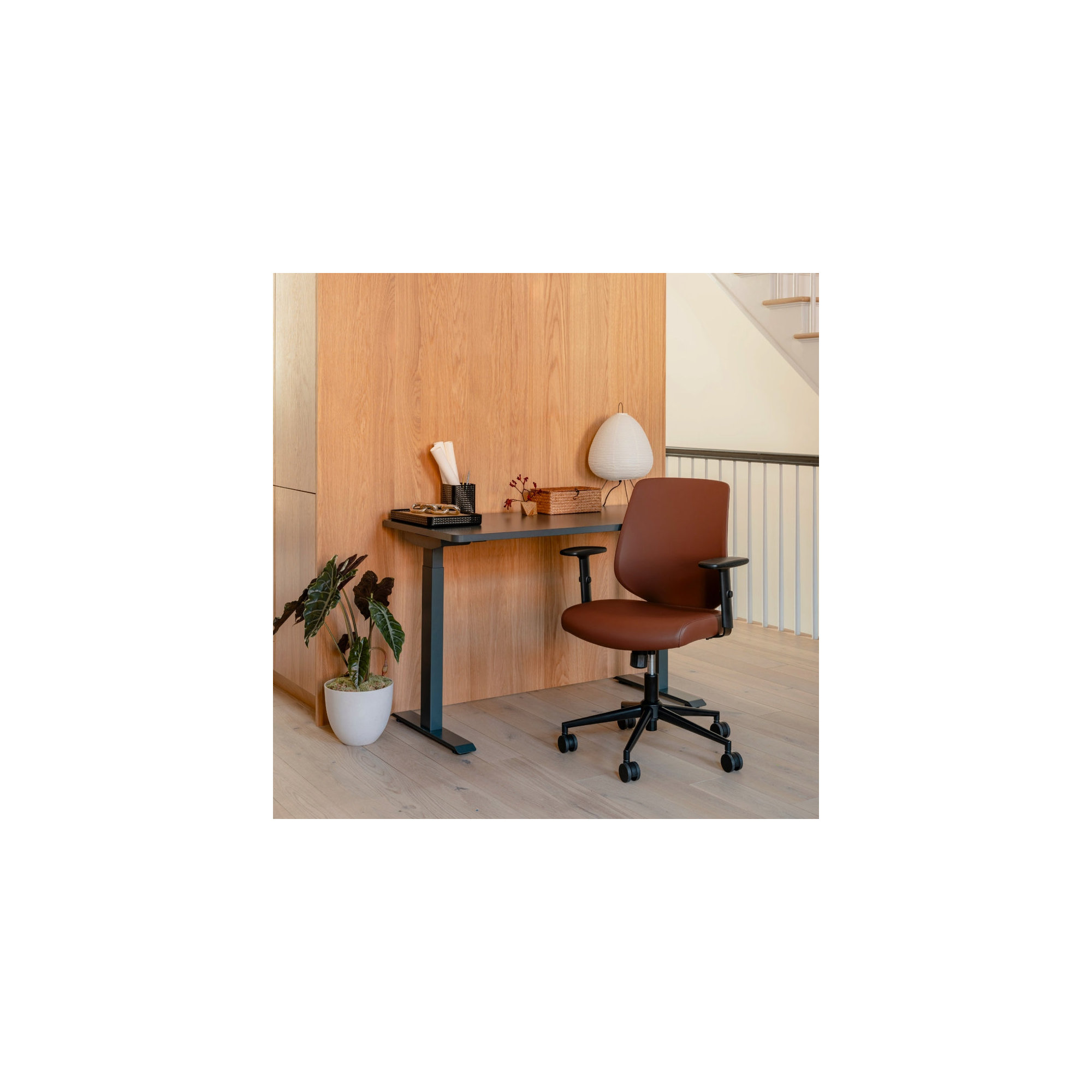 Daily Chair, Black, Mahogany