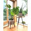 Zepeda Pot Planter