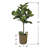 30'' Faux Fiddle Leaf Fig Tree in Glass Basket