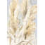 «Pampas Grasses II» par Katrina Pete, peinture sur toile tendue-155321017-190855774