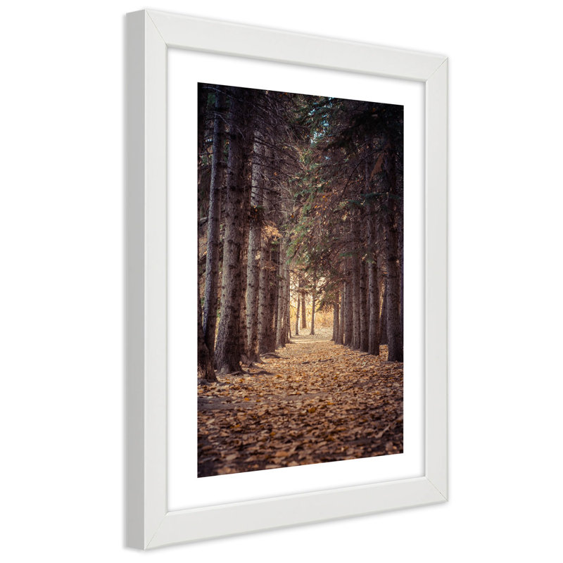 Forest In Autumn - Single Picture Frame Print, White, 30cm H x 20cm W