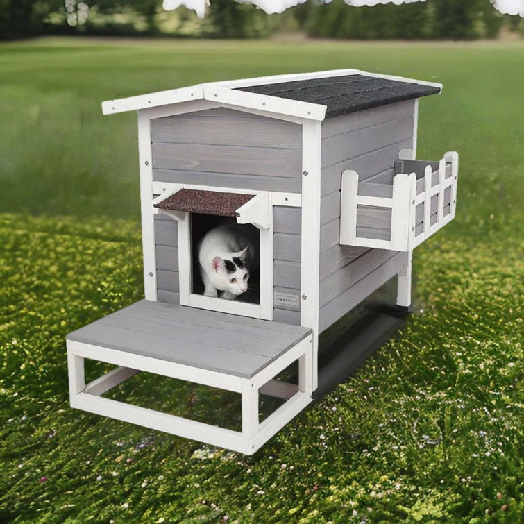 awesome outdoor cat houses