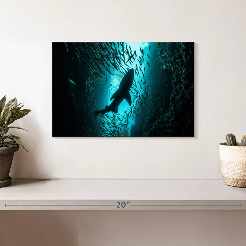 Brampt Shark Depth, 8" H x 12" W
