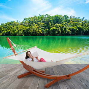 https://assets.wfcdn.com/im/14772156/resize-h300-w300%5Ecompr-r85/1947/194702646/2+Person+Spreader+Bar+Hammock+with+Stand.jpg