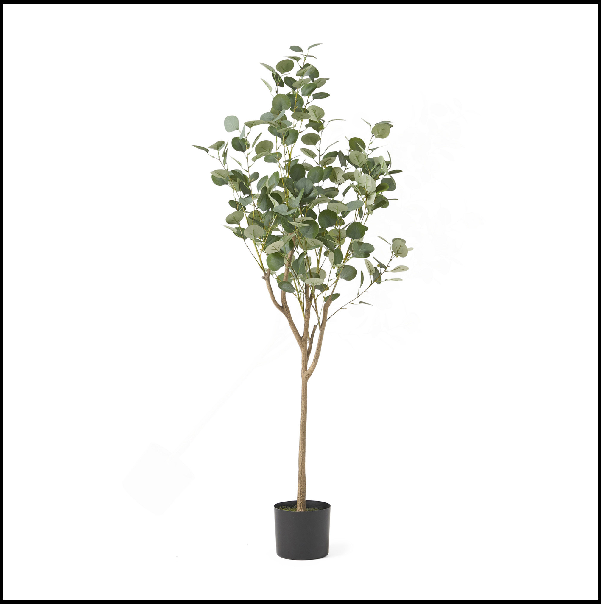 Kalituse Tree Latitude Run® ARTIFICIAL EUCALYPTUS TREE - Wayfair Canada