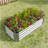 2PCS Black 4×2×1Ft Metal Raised Garden Bed, Rectangle Raised Planter For Flowers Plants, Vegetables Herb-320360274