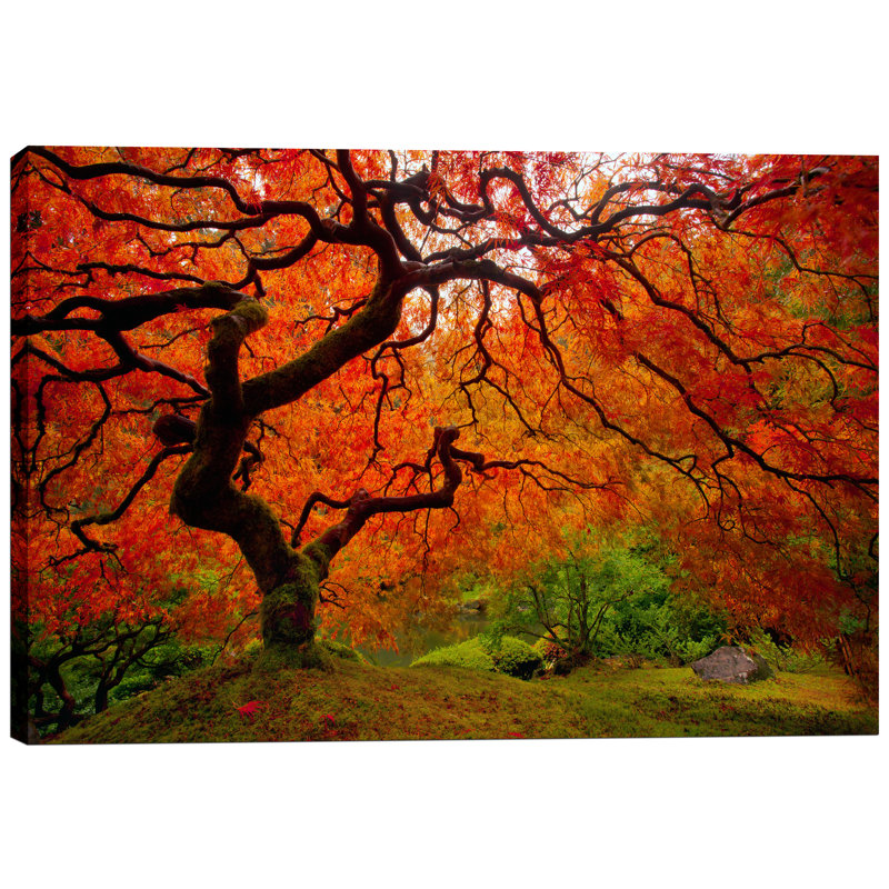 «Tree Fire» par Darren White, art mural sur toile, H 12 po x l 18 po x P 0,75 po