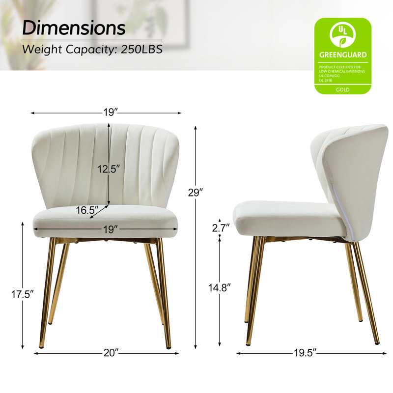 Euclid 29"H Modern Velvet Accent Chair with Tufted Back, Ivory Velvet