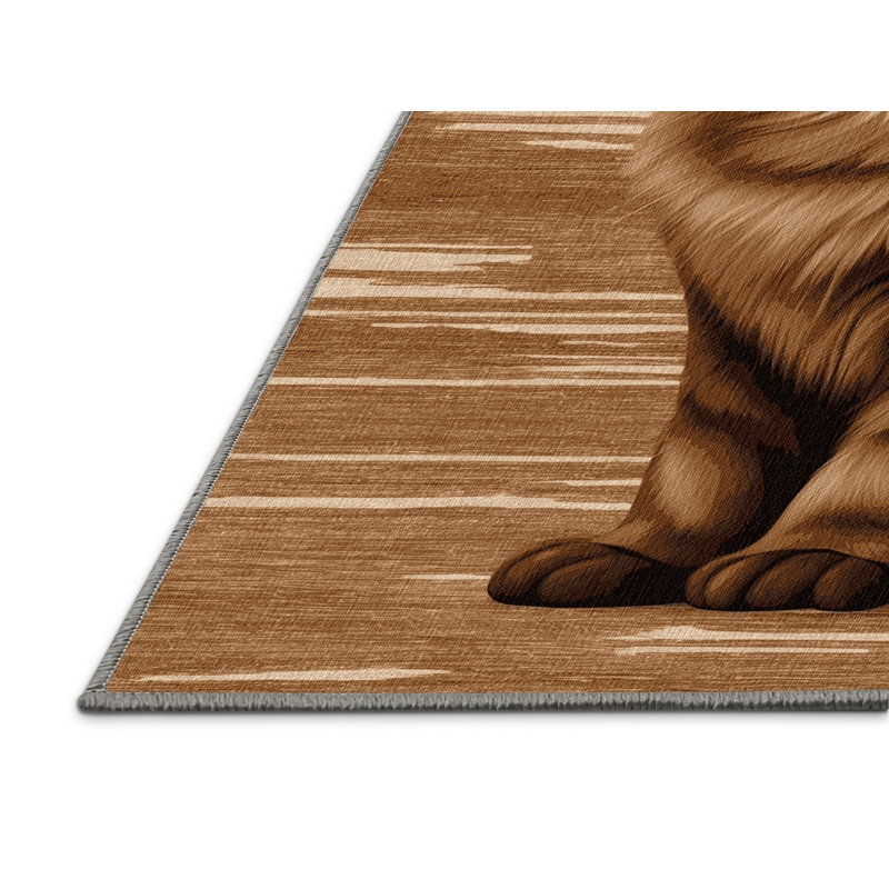  Tapis lavable pour chats birmans, Tapis de couloir 2 pi x 5 pi