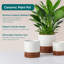 FLHPOT Ceramic Pot Planter-332050592