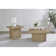 2-piece Square Cocktail Coffee End Table Set, Latte