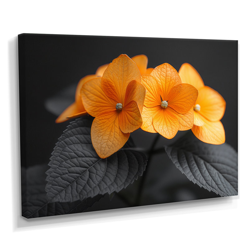 Orange orange, parfum d'hydrangées et d'hortensias muraux, H 12 po x l 20 po, Toile tendue