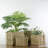 Set of 4 Rustic Beige Square Wicker Table and Floor Baskets
