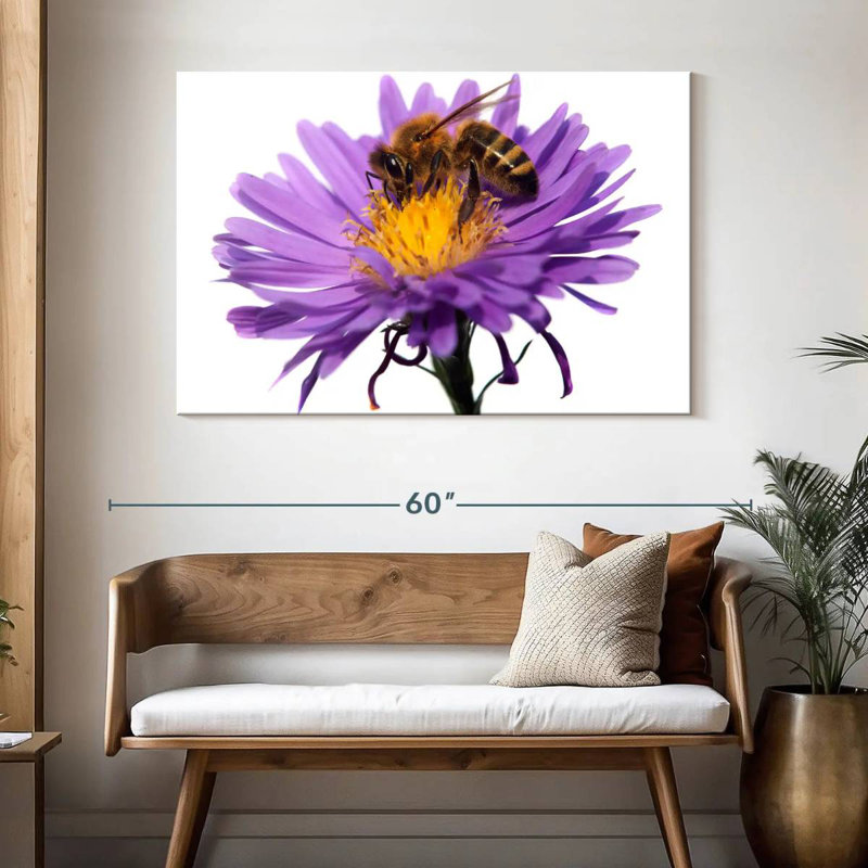 Brampt Honey Bee Sucking Nectar