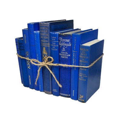 Decorative Books - Vintage Royal Blue Book Bundle - 1 Foot of Blue Books