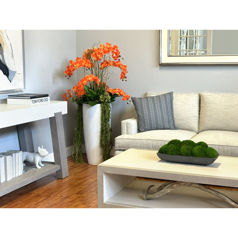 Orchid Arrangement with Cactus in Fiberstone Planter, Orange/Green