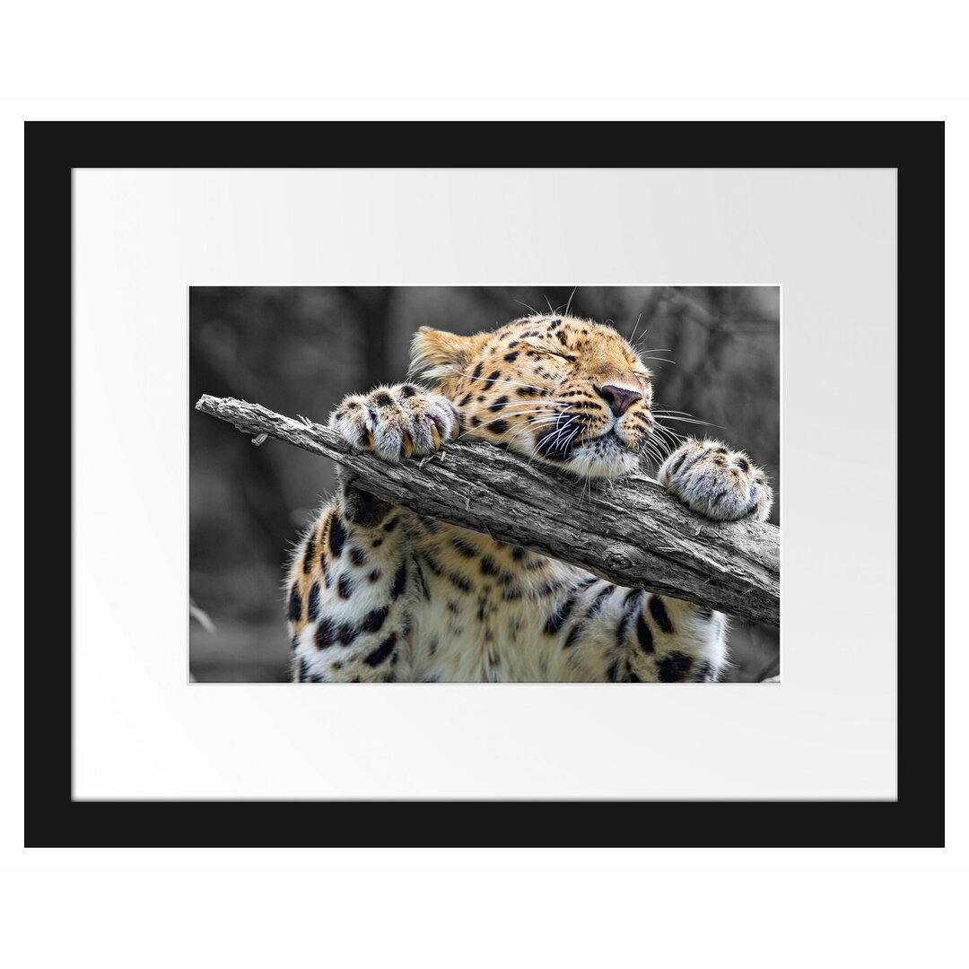 Gerahmtes Poster Verspielter kleiner Leopard