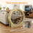 Ezzard 37'' H Cat Tree