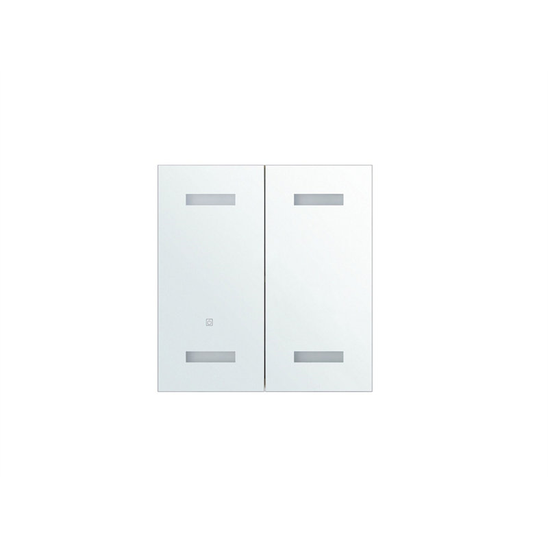 Tellis 600mm W 600mm H Surface Frameless Medicine Cabinet Mirror 2 Fixed