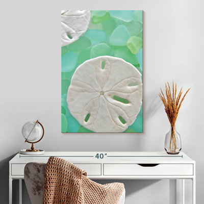Verre de mer Brampt V