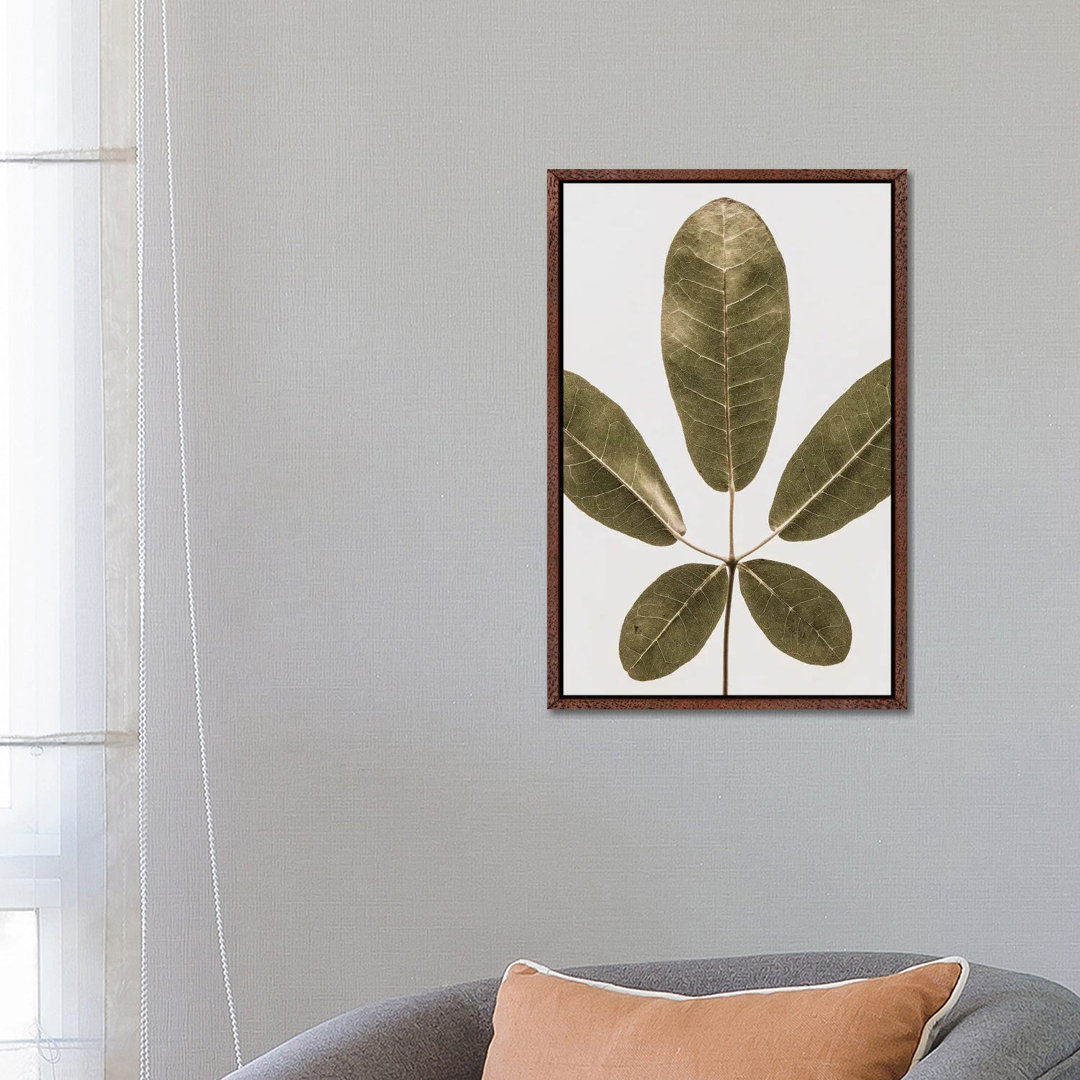 Autum Leaf von Shot By Clint - Gallery-Wrapped Canvas Giclée on Canvas