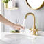 2-handle Bathroom Faucet with Drain Assembly