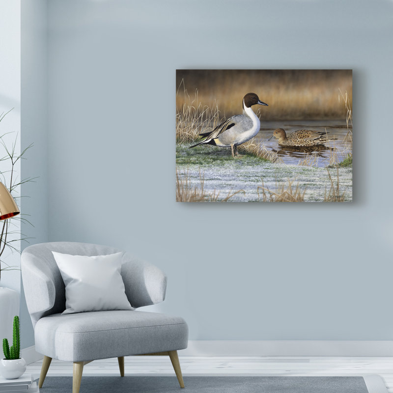 « pintail ducks », reproduction de peinture à l’acrylique sur toile tendue, H 24 po x l 32 po x P 2 po