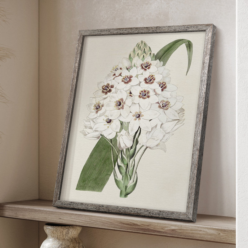 Flore Albo II Framed Print - Solid Wood, 11" H x 9" W