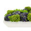 Succulent Faux Floral Arrangement in Planter-1656598836