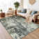 Alma Vintage Look Shag Area Rug