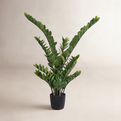 Zen Faux ZZ Plant in Pot