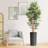 Artificial Tree in Black White Wood Tree Rings Pattern Planter Fake Bamboo Silk Tree-103684950