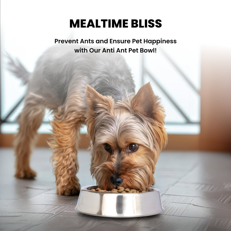 Stainless Steel Anti-Skid Ant-Resistant Pet Bowl, 16 oz