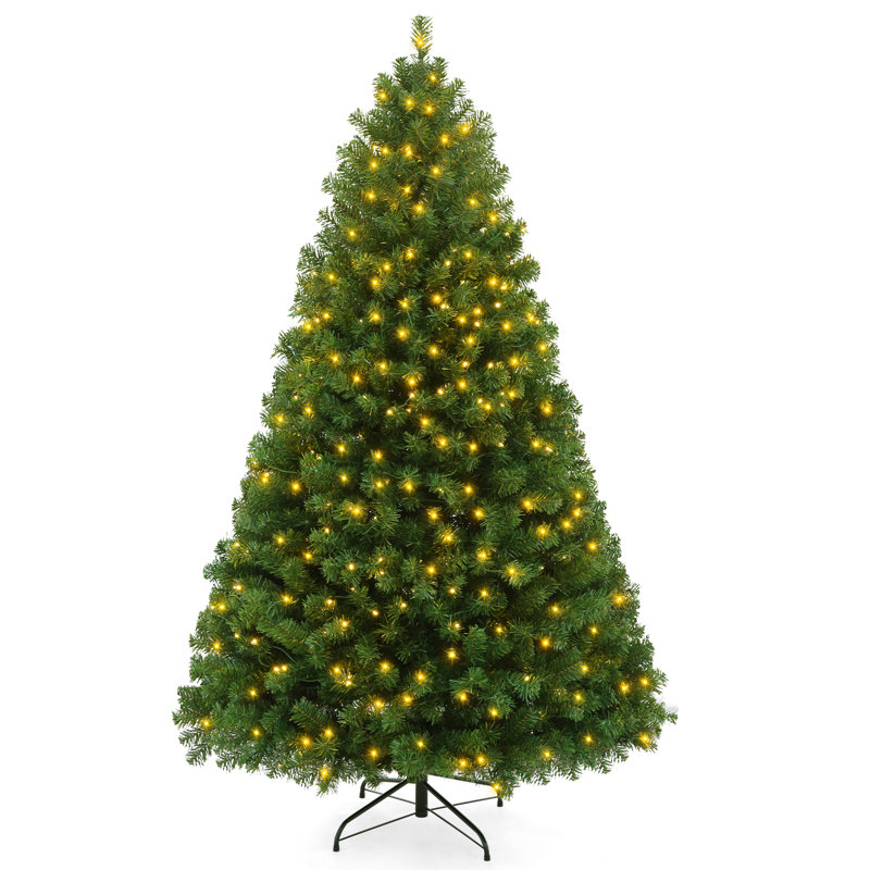 6' Lighted Spruce Christmas Tree