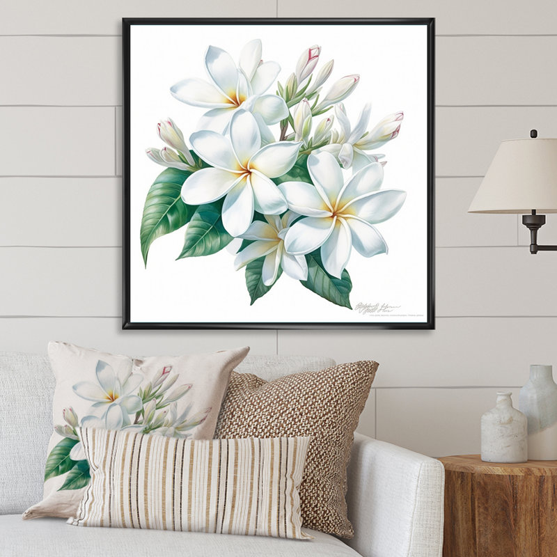 Plumeria charmante et élégante, Cadre flottant noir, 30" H x 30" W
