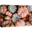 Automne, automne, Action de grâce, citrouilles, nature sauvage, photographie murale, décoration zen-98161139