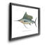 «Broad Finned Sword Fish», impression sur toile encadrée-708115802-708115781