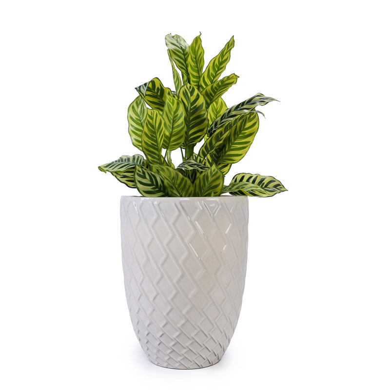 Contemporary Milk White Planter In Ceramic - 16.29" Depth, Width, 21.87" Height, Heat , All Weather Resistance, Built Drainage, Glossy Finish Stylish For Indoor And Outdoor Decor Durability,
