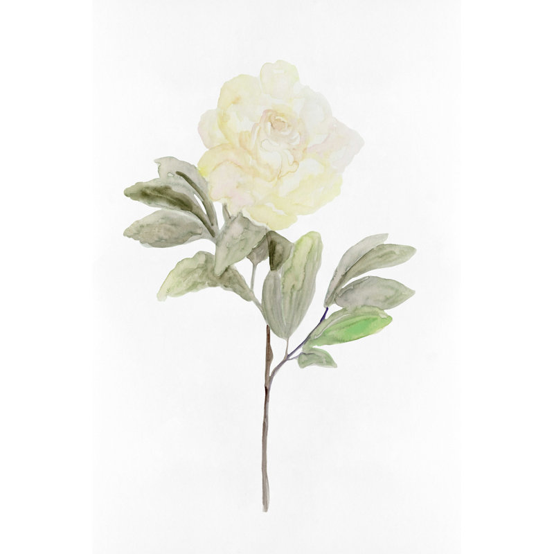 Fleur blanche V, H 18 po x l 12 po