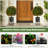 22'' Faux Boxwood Tree in Pot