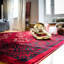 Ariana Oriental Area Rug-98419057