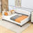 Full Size Tufted Upholstered Daybed with Slats-1908838066