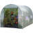  2m x 2m Polytunnel
