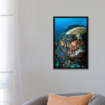 " Reef Scene With Corals And Fish, Komodo, Indonesia " by Mathieu Meur