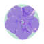 Napperon Hibiscus-465678853